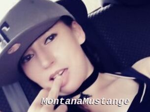 MontanaMustange