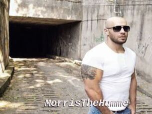 MorrisTheHumme Live Camgirls Sex