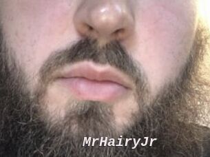 MrHairyJr