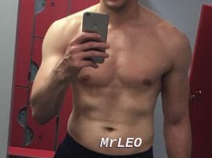 MrLEO
