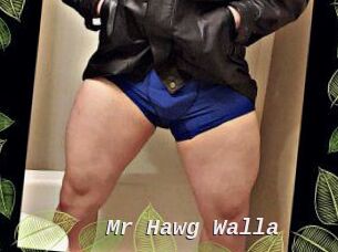 Mr_Hawg_Walla
