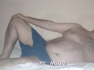 Mr_Hobbs