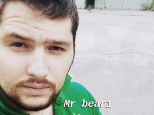 Mr_bear1