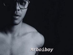 Mrboiboy