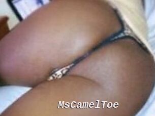 MsCamelToe