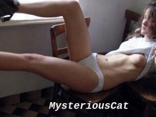 MysteriousCat