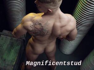 Magnificentstud