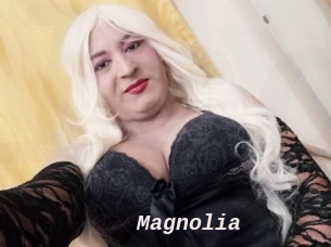 Magnolia