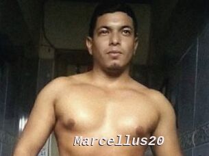 Marcellus20