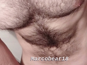 Marcobear18