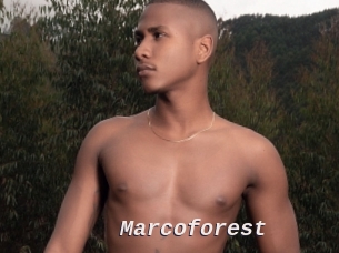 Marcoforest