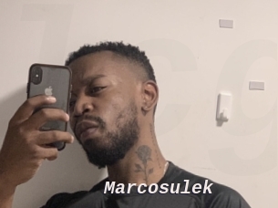 Marcosulek