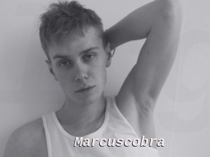 marcuscobra Live Camgirls Sex