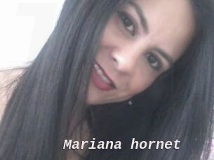 Mariana_hornet