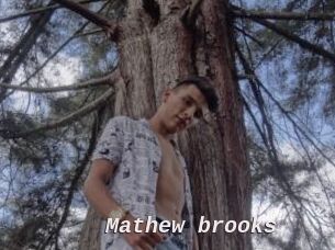 Mathew_brooks