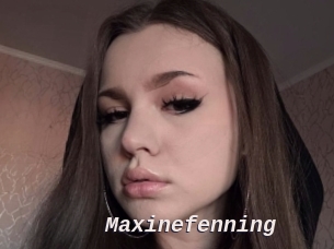Maxinefenning