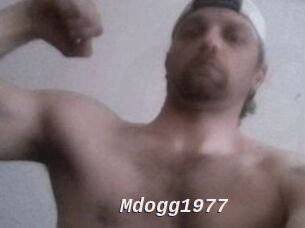 Mdogg1977