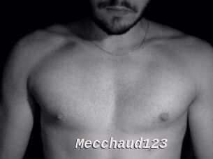 Mecchaud123