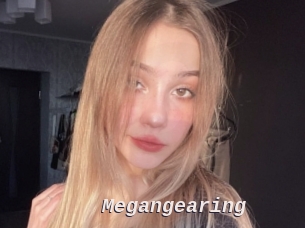 Megangearing