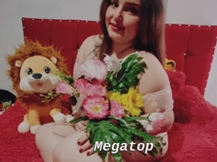 Megatop