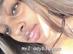 Mel_odyblossom