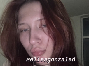 Melisagonzaled