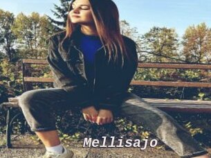 Mellisajo