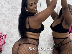 Meridaroa