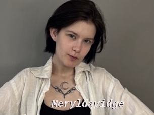 Meryldavidge