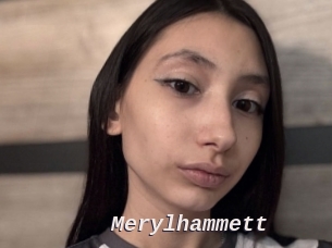 Merylhammett