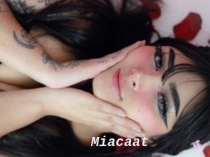 Miacaat