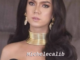 Michelecalib