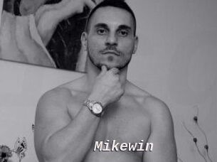 Mikewin