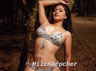 Milenarocher
