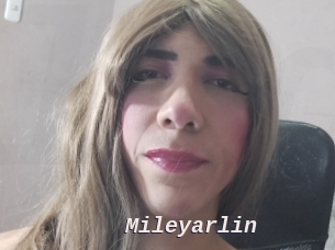 mileyarlin Live Camgirls Sex