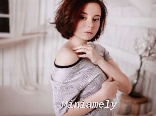 Miniamely