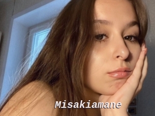 Misakiamane