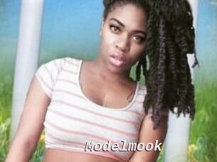 Modelmook