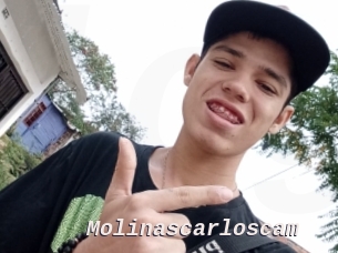 Molinascarloscam