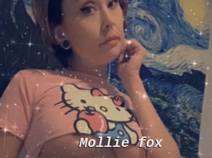 Mollie_fox