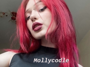 Mollycodle