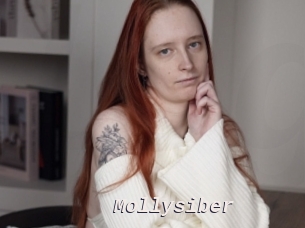 Mollysiber