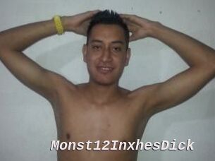 Monst12InxhesDick