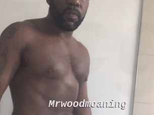 Mrwoodmoaning