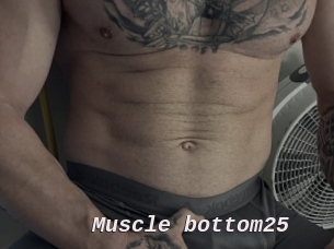 Muscle_bottom25