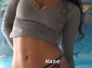 Hase