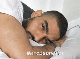 Narcisonefer