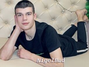 NigelBud