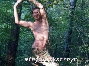 NinjaDickstroyr