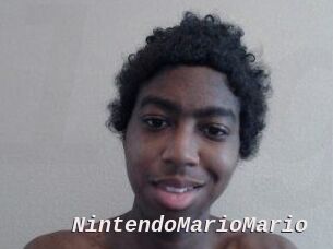 NintendoMarioMario